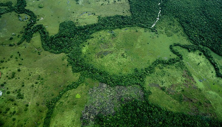 Deforestación en la Amazonía 
