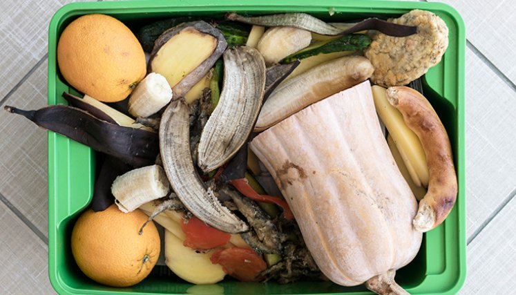 Desperdicio de alimentos. / Foto Freepik.es