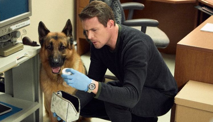 ‘Hudson & Rex’ vuelven a la carga: AXN estrena su segunda temporada.