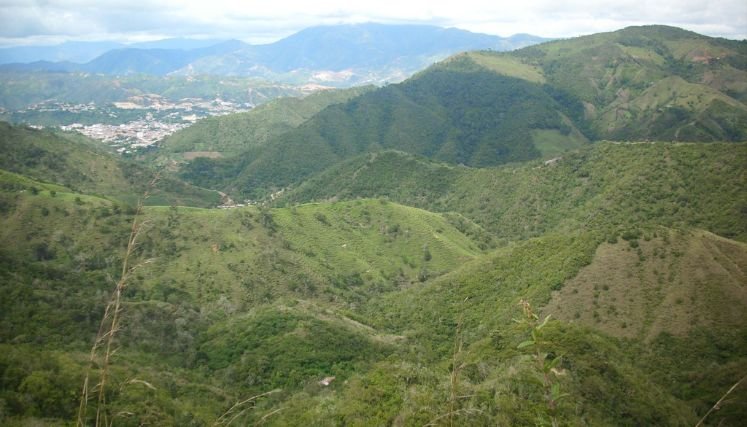 Más de mil campesinos no están dispuestos a trasladarse al departamento del Cesar.