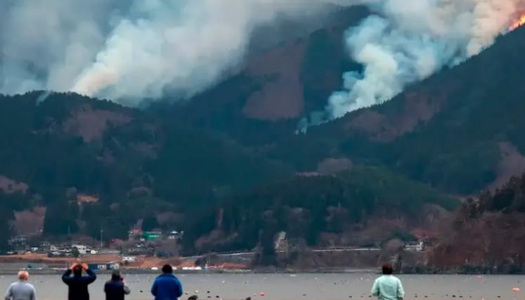 El fuego no es malo para la biodiversidad