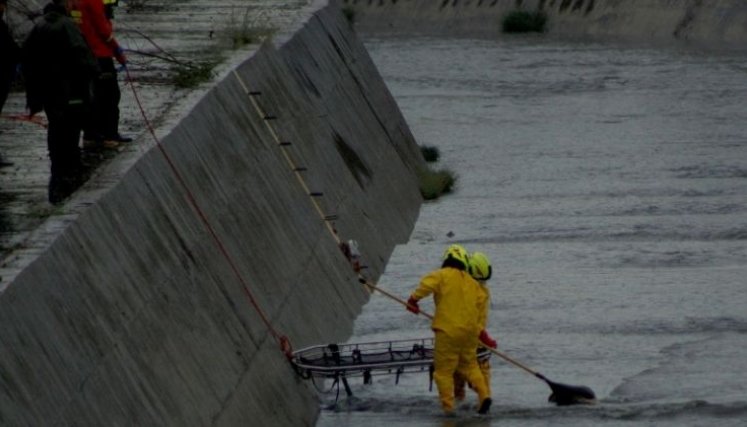 Muerto Canal Bogotá
