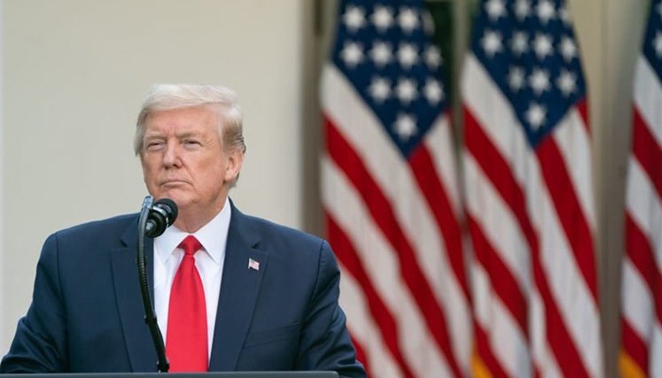 Trump-manifestaciones