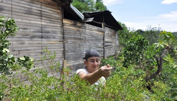 A las familias se les ofrecerá además de capital semilla, capacitación./Foto archivo