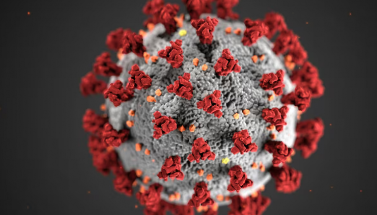 nuevo virus en China
