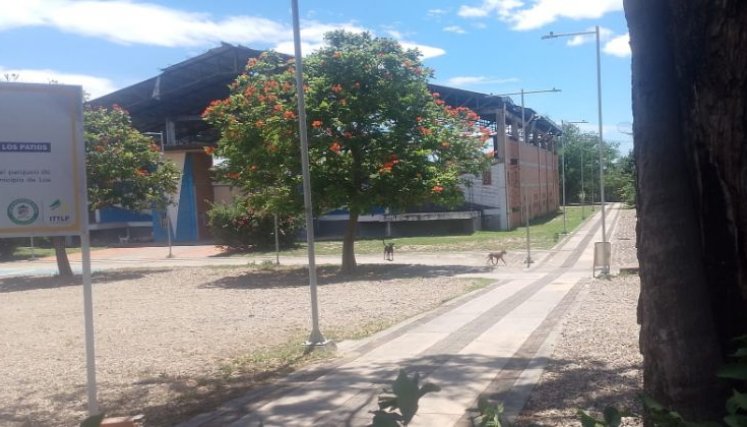 patios-kilometro 8
