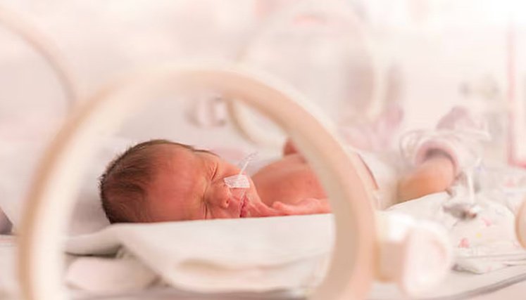Bebés-prematuros.