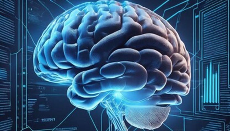 Cerebro