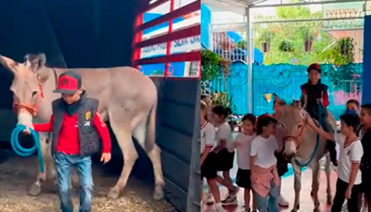 Niño y su mascota burro