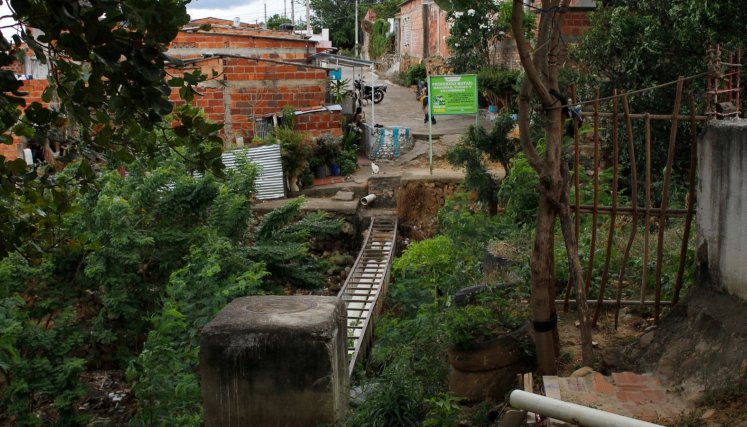 Nuevo - Milenio.