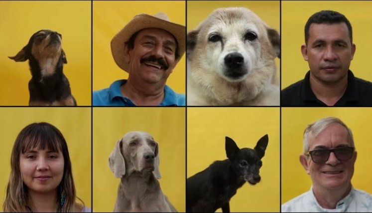 ‘Perra Vida’: el documental que retrata a Colombia a través de sus perros.