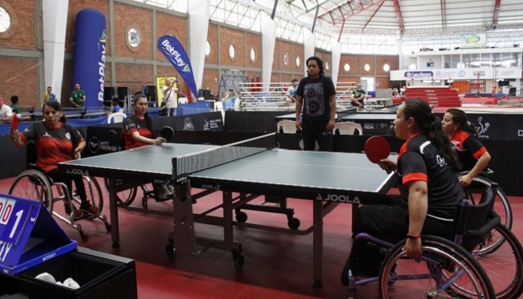 Los paratenimesistas rojinegros demostraron que son competitivos. 
