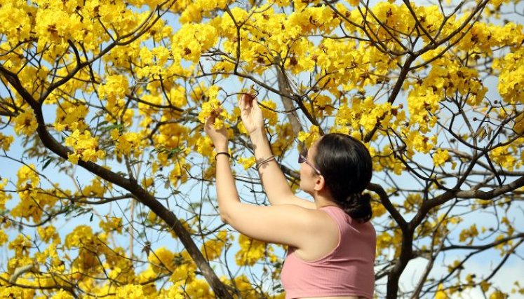 La gente lleva flores de recuerdo para sus casas/Foto Carlos Ramírez