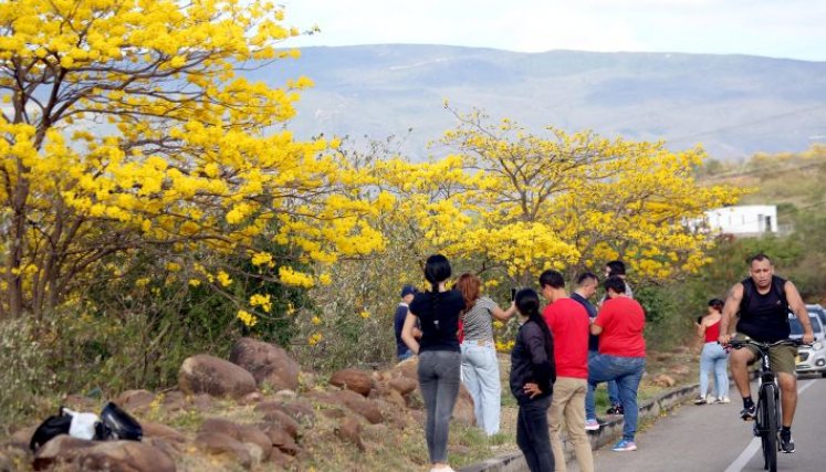 La familia acude a los sitios de Cañaguates para apreciarlos de cerca/Foto Carlos Ramírez