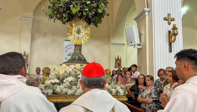 El cardenal de Colombia Luis José Rueda envía un mensaje de fe y esperanza para la convivencia pacífica en el Catatumbo.