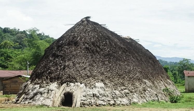Emergencia de salud en la comunidad de Bridikayra del pueblo Barí en el Catatumbo.