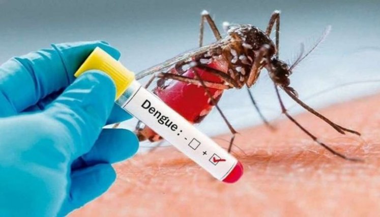 En Norte de Santander 32 personas se infectan diariamente de dengue