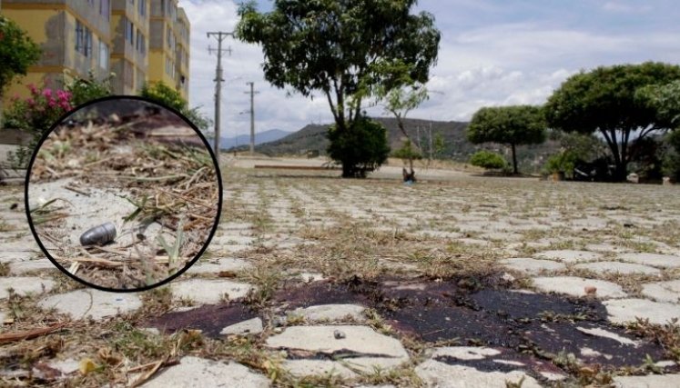 Asesinato Cormoranes