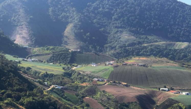 Zona agrícola del Catatumbo.