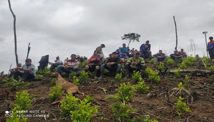 Vuelve la pesadilla de la aspersión sobre los cultivos de uso ilícito en la zona del Catatumbo.