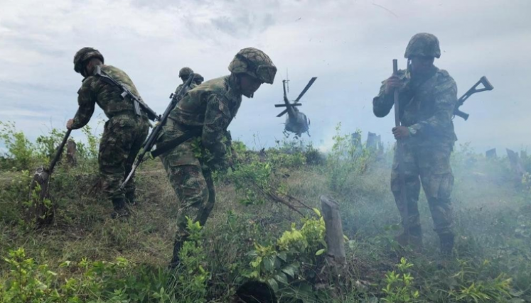La erradicación forzada que adelanta la Fuerza Pública.