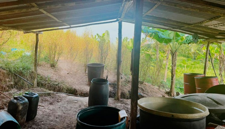 Policía Nacional y Ejército destruyen laboratorio para el procesamiento de base de coca en Tibú