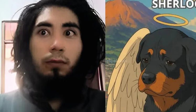 Sherlock-perro-quemado