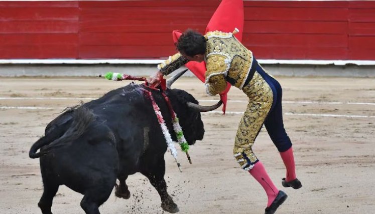 Torero herido 