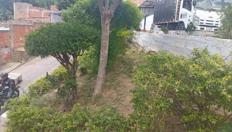 Zona verde del parque presenta deterioros