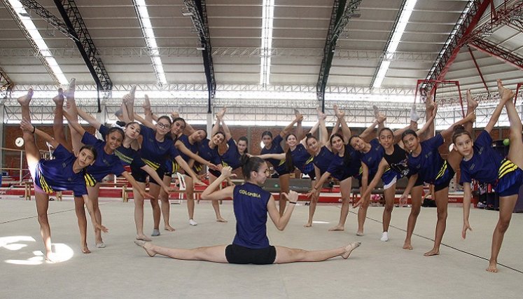 Trece cucuteñas forman parte de la selección Colombia de gimnasia ritmica