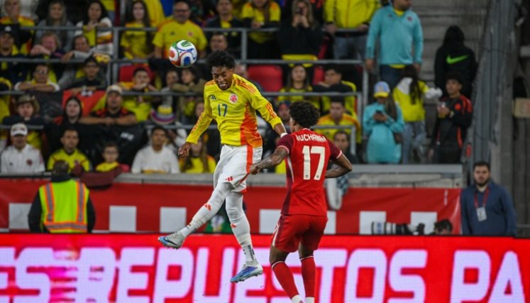 La selección mayor volverá a jugar en noviembre frente a Nueva Zelanda en la última jornada del año de la doble fecha de la FIFA.
