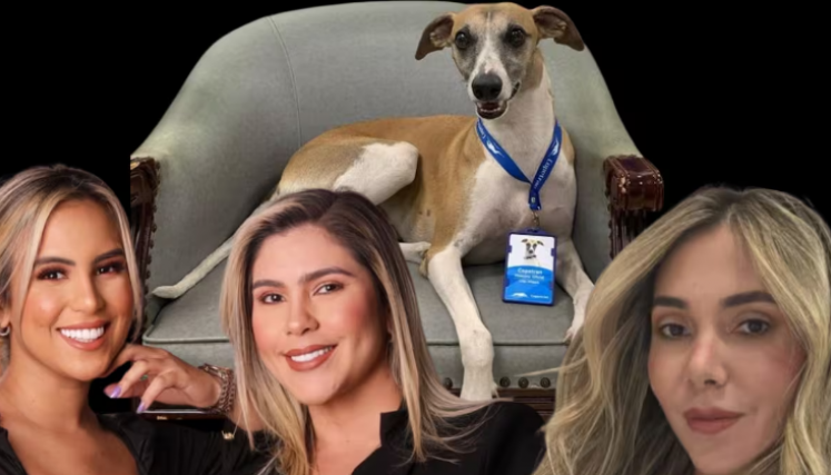 Dayana Jaimes felicita a la perra de Copetran