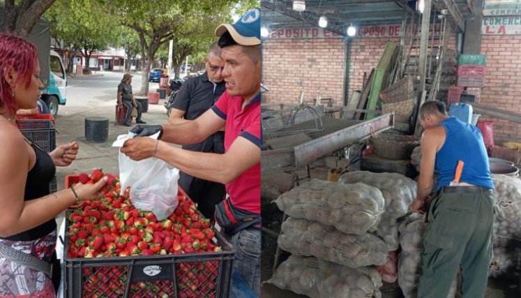 Comerciantes mayoristas de Cenabastos preocupados por Papatón y fresatón, campesinos lo ven como oportunidad