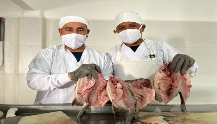 Consultorio Socio Ambiental Agropecuario del Oriente Colombiano impulsa ese renglón de la economía.