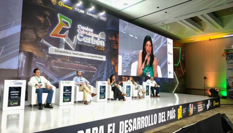 'Sin energía no hay economía, y sin economía no hay desarrollo social sostenible'