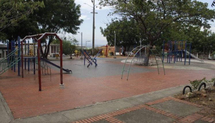 Vecinos siembran alrededor del parque diversidad de plantas