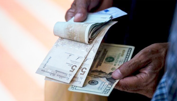 Bolívar y dólar. / Foto Cortesía Efecto Cocuyo