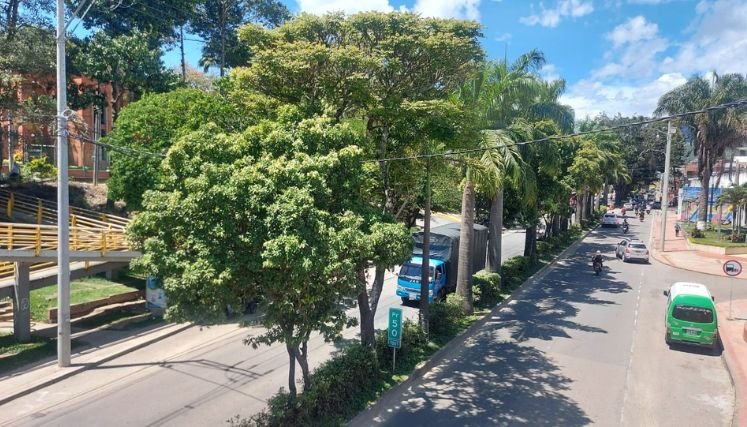 Una polémica ha suscitado la instalación de un semáforo sobre la avenida Francisco Fernández de Contreras.