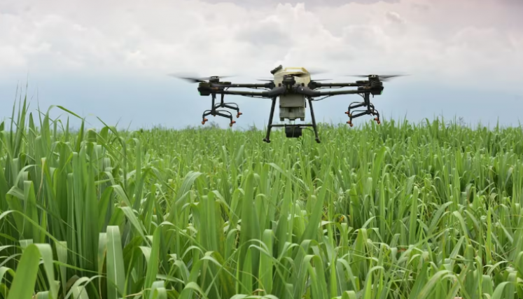 Drones en el campo