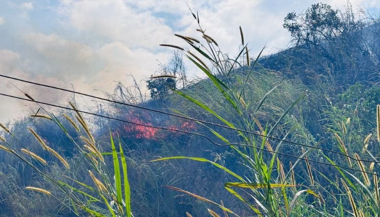 El intenso verano facilita la propagación de las llamas en zona rural de Ocaña.