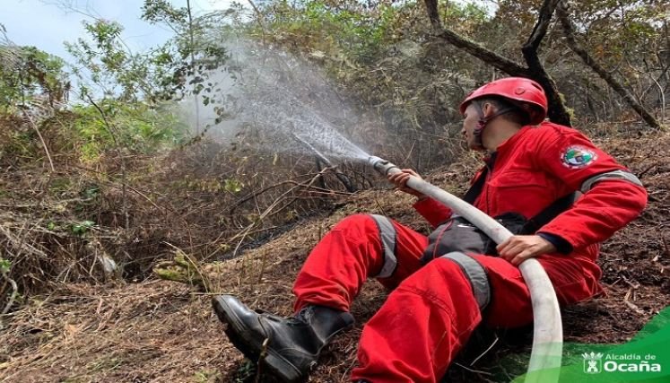 Incendios forestales arrasan con 7 hectáreas de capa vegetal en Ocaña.