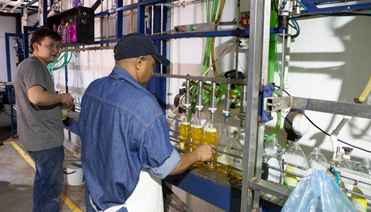 Empresas de Norte de Santander. / Foto: Archivo