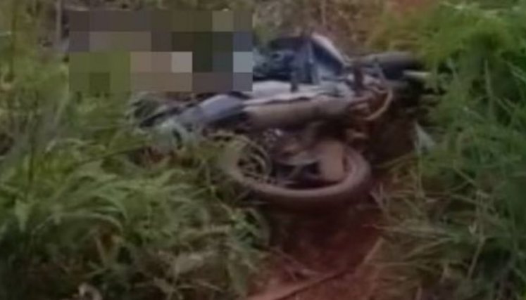 Impactante: Pitón de siete metros estrangula a un granjero tras derribarlo de su moto
