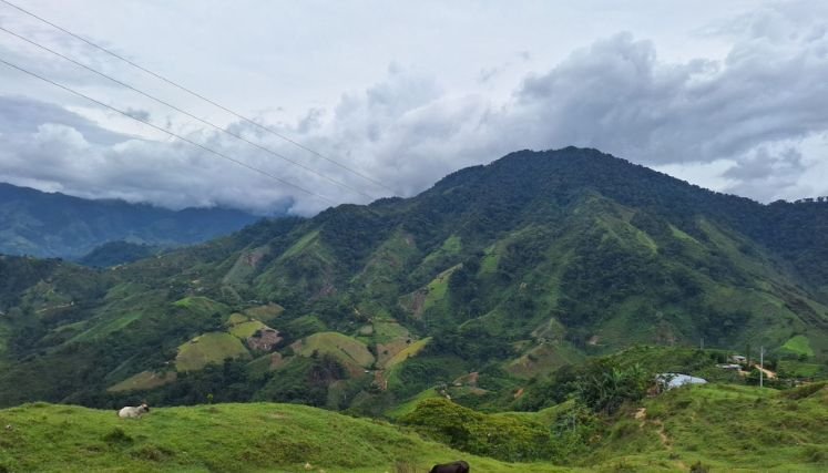 Radiografía de la crisis humanitaria en la zona del Catatumbo