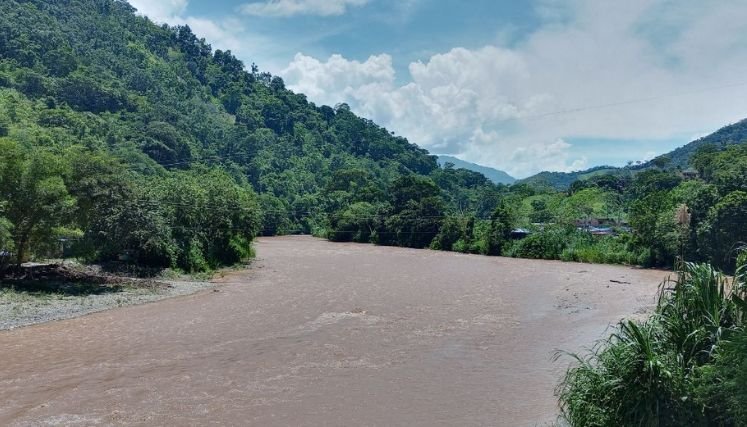 Radiografía de la crisis humanitaria en la zona del Catatumbo
