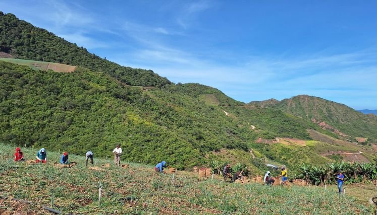 Falta ilustración sobre el avalúo catastral en la zona rural.
