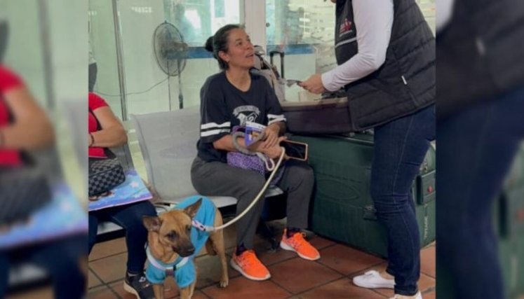 Circular prohibición de mascotas en maletero