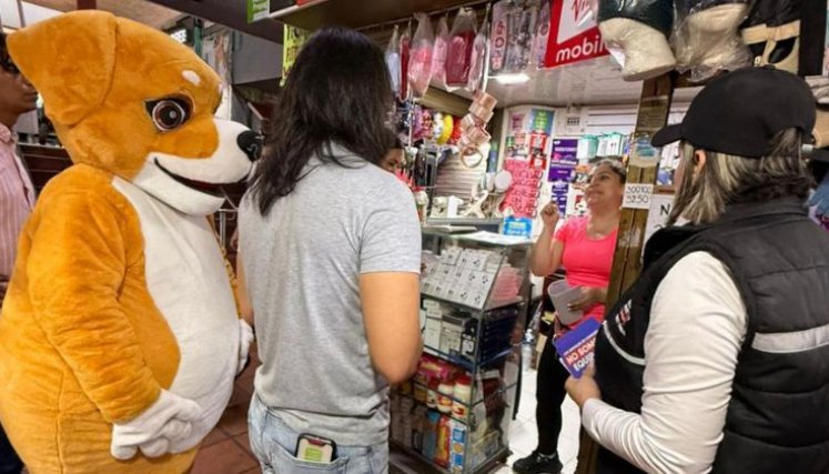 Circular prohibición de mascotas en maletero