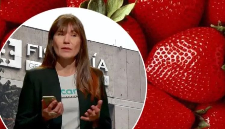 Propina al domiciliario y envío por “la del pelo rojo”: las nuevas pistas en caso de envenenamiento con talio en frambuesas