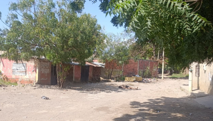 Encuentran múltiples cadáveres 